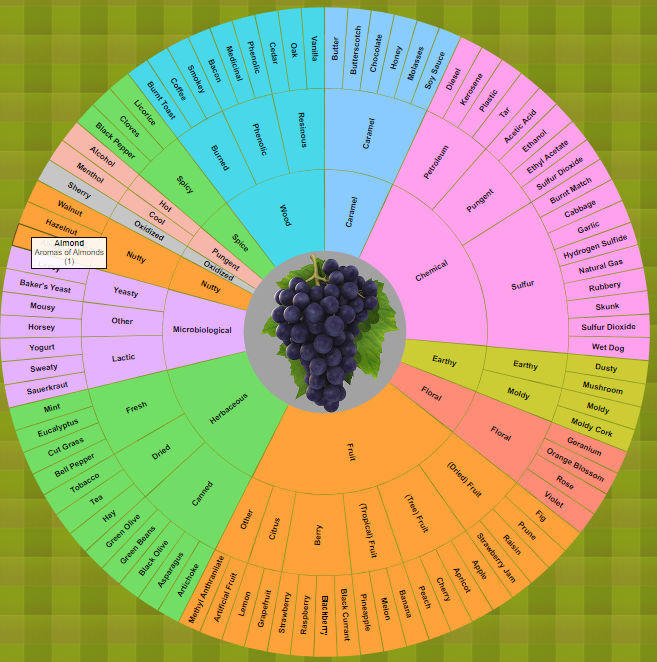 Interactive Wine Aroma Wheel
